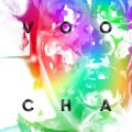 Buy Voocha - Everything Changes Mp3 Download