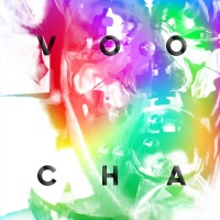 Purchase Voocha - Everything Changes