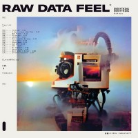 Purchase Everything Everything - Raw Data Feel