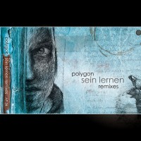 Purchase Polygon - Sein Lernen Remixes