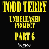 Purchase Todd Terry - The Unreleased Project Pt. 6