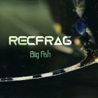 Purchase Recfrag - Big Fish
