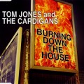 Buy Tom Jones & The Cardigans - Burning Down The House (EP) Mp3 Download