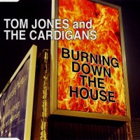 Purchase Tom Jones & The Cardigans - Burning Down The House (EP)