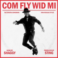 Purchase Shaggy - Com Fly Wid Mi