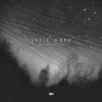 Purchase Vetle Nærø - Introspection