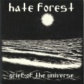Buy Hate Forest - Grief Of The Universe / Spinning Galaxies (With Legion Of Doom) (VLS) Mp3 Download