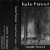 Buy Hate Forest - Temple Forest (Tape) Mp3 Download