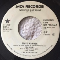 Purchase Steve Wariner - Where Did I Go Wrong (VLS)