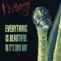 Buy Thug - Everything Is Beautiful In Its Own Way Mp3 Download