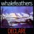 Buy Whalefeathers - Declare (Vinyl) Mp3 Download