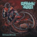 Buy Ejakulující Kokos - Triggerfish Mp3 Download