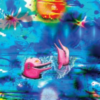 Purchase Jaimie Branch - Anteloper: Pink Dolphins