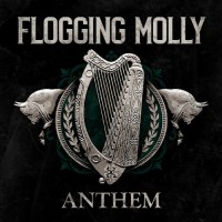 Purchase Flogging Molly - Anthem