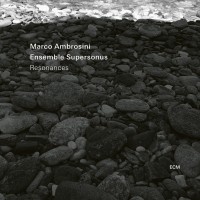 Purchase Marco Ambrosini - Resonances (With Ensemble Supersonus)