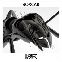 Purchase Boxcar - Insect Remixes (EP)