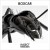 Buy Boxcar - Insect Remixes (EP) Mp3 Download