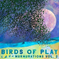 Purchase Birds Of Play - Murmurations Vol. 2