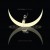 Buy Tedeschi Trucks Band - I Am The Moon: II. Ascension Mp3 Download