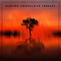 Purchase Electro Compulsive Therapy - Electro Compulsive Therapy