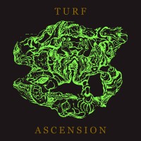 Purchase Bubblemath - Turf Ascension