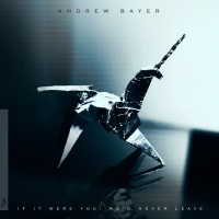 Purchase Andrew Bayer - If It Were You, We’d Never Leave