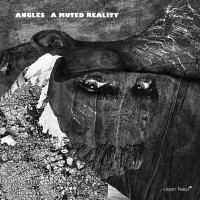 Purchase Angles - A Muted Reality