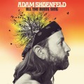 Buy Adam Shoenfeld - All The Birds Sing Mp3 Download