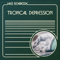 Purchase Jake Schrock - Tropical Depression