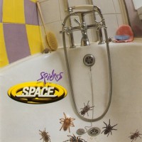 Purchase Space - Spiders