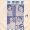 Buy The Square Set - That's What I Want (VLS) Mp3 Download