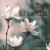 Buy IO Earth - Acoustic Vol. 1 Mp3 Download