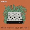 Buy Triem - Another Southern Thing Mp3 Download
