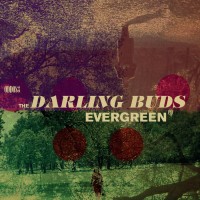 Purchase The Darling Buds - Evergreen (EP)