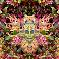 Purchase Shpongle - Carnival Of Peculiarities (EP)