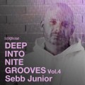 Buy VA - Deep Into Nite Grooves Vol. 4 Mp3 Download