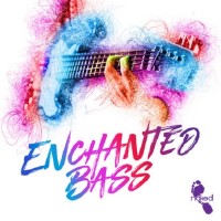 Purchase Charles Berthoud - Enchanted Bass