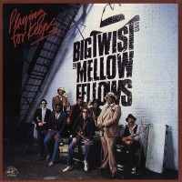 Purchase Big Twist & The Mellow Fellows - Playing For Keeps (Vinyl)