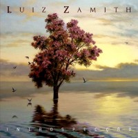 Purchase Luiz Zamith - Introspecção