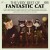 Buy Fantastic Cat - The Very Best Of Fantastic Cat Mp3 Download
