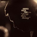 Buy Andrea Pozza Trio - Drop This Thing Mp3 Download