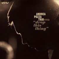 Purchase Andrea Pozza Trio - Drop This Thing
