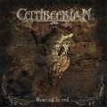 Buy Celtibeerian - From Soil To Soul Mp3 Download