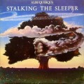 Buy Michael D'albuquerque - Stalking The Sleeper (Vinyl) Mp3 Download