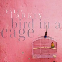 Purchase Patty Larkin - Bird In A Cage
