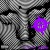 Buy Ouija Macc - Zodiac Mp3 Download