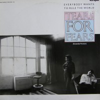 Purchase Tears for Fears - Everybody Wants To Rule The World (Extended Version) (VLS)