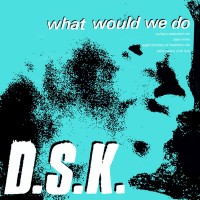 Purchase DSK - What Would We Do? (MCD)