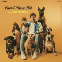 Purchase Camel Power Club - Narukanaga