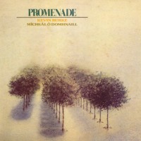 Purchase Kevin Burke - Promenade (With Mícheál Ó Domhnaill) (Vinyl)